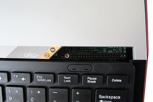 Micro One GPIO access (image courtesy of Ident)
